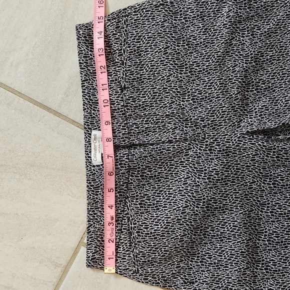Coldwater Creek Capri Pants with Vented Hem, Hidden Hook Close 4 - Picture 5 of 14